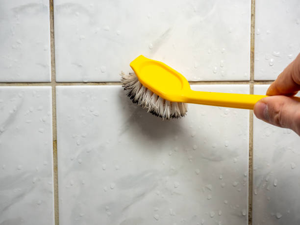 Best Affordable Mold Removal  in Battle Creek, MI