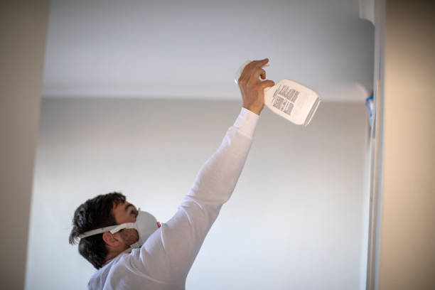 Best Emergency Mold Removal  in Battle Creek, MI