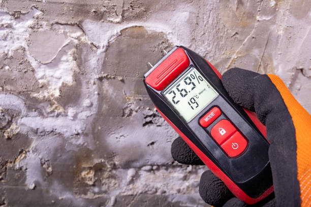 Reliable Battle Creek, MI Mold Removal Solutions