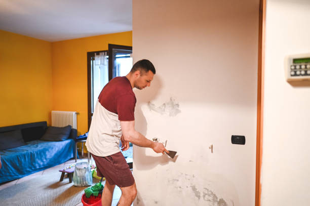 Best Mold Testing  in Battle Creek, MI